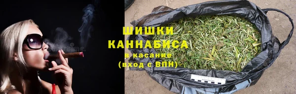 спиды Богородск