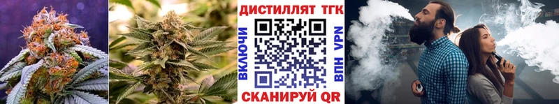 ТГК гашишное масло  KRAKEN зеркало  Кологрив 