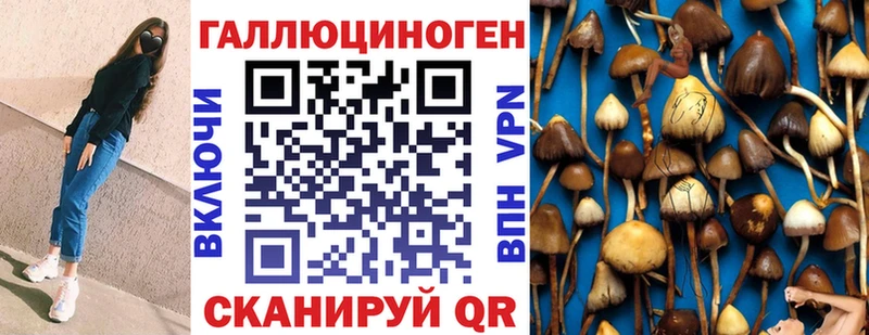 Галлюциногенные грибы прущие грибы даркнет сайт Кологрив